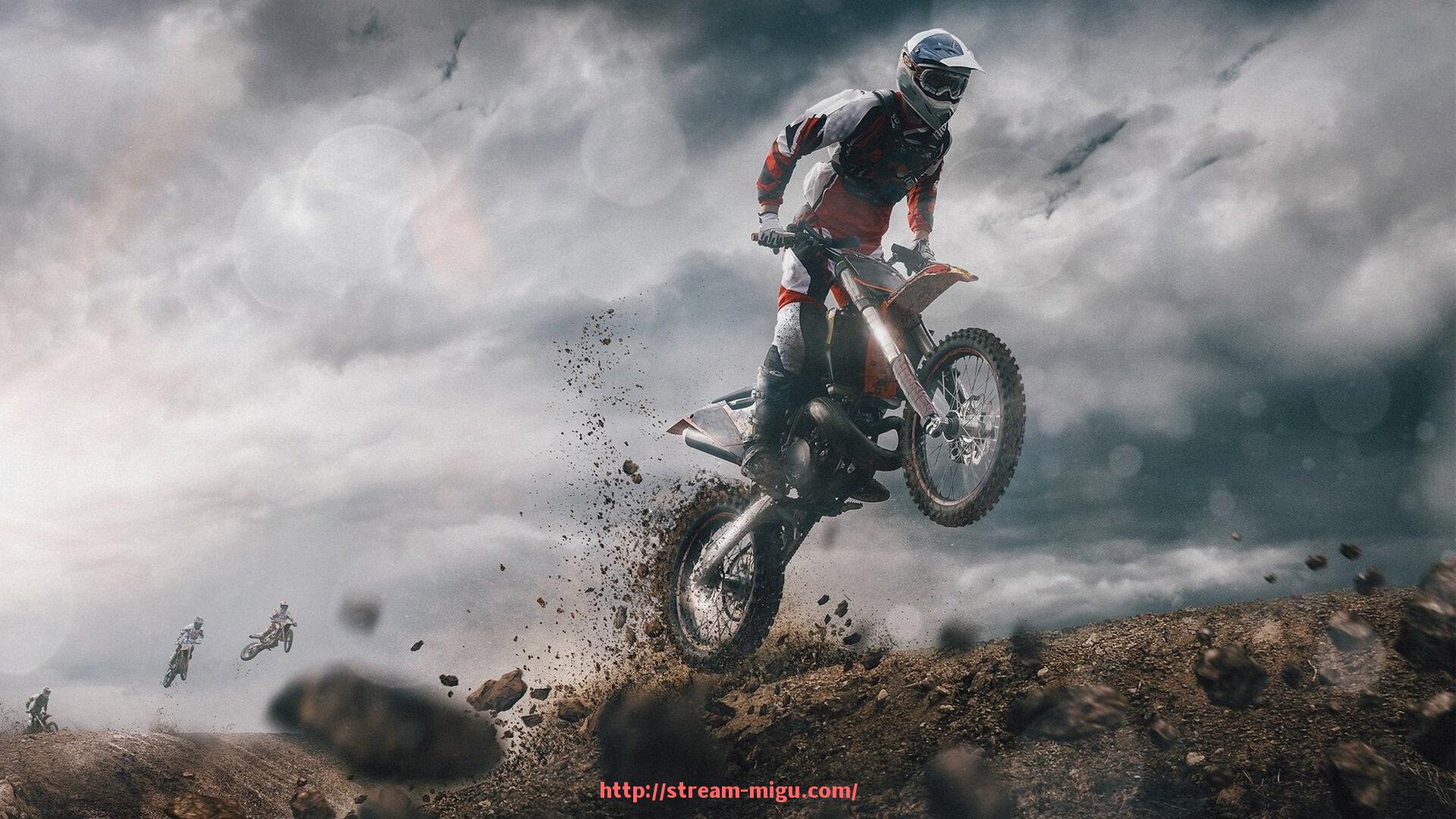 咪咕体育直播-健身器材表面英文标识解析及其在运动使用中的作用