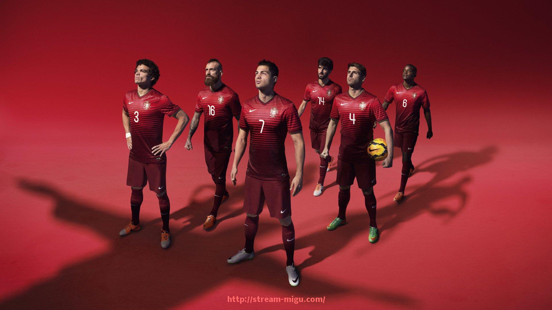 咪咕体育直播-各类健身器材名称分类与对应训练部位图解