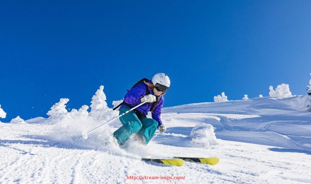 咪咕体育直播-火箭队对阵灰熊队比赛的完整录像回放