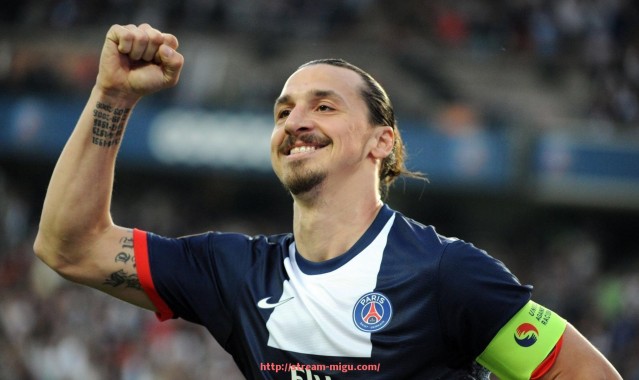 咪咕体育直播-法甲联赛组织结构及管理机制研究报告