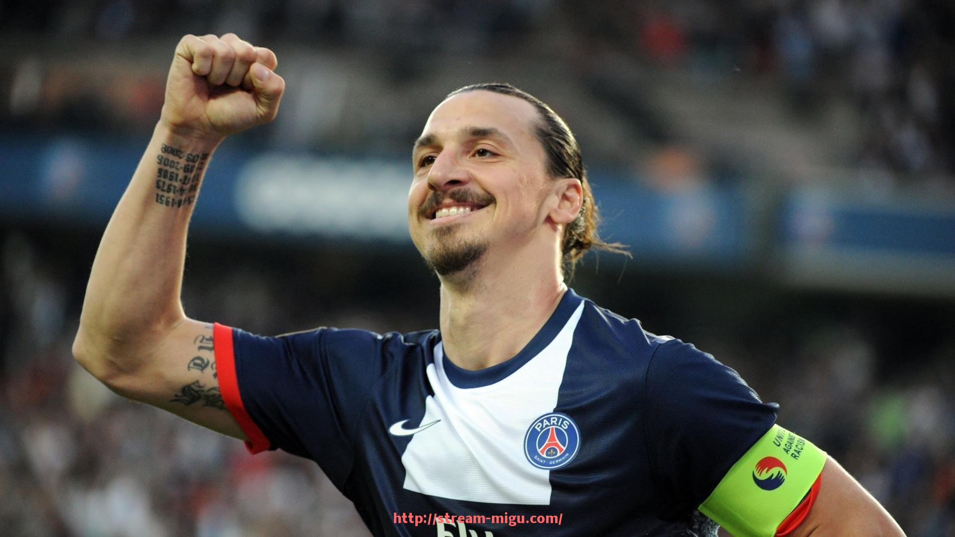 咪咕体育直播-法甲联赛组织结构及管理机制研究报告